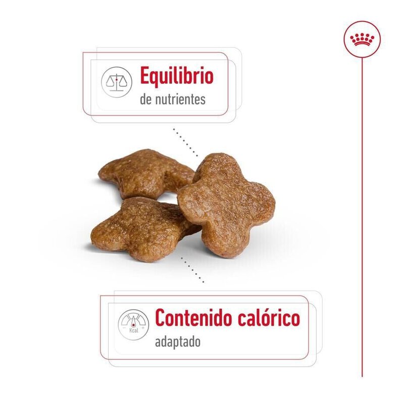 8 kg Royal Canin Mini 8+ Adult ração para cães,  Imagem número 6 8 kg Royal Canin Mini 8+ Adult ração para cães, , large Imagem número 6