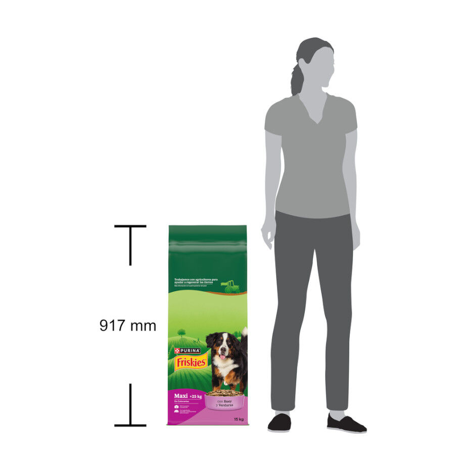 15 kg Friskies Maxi Ra&ccedil;&atilde;o para c&atilde;es, , large Imagem n&uacute;mero 5