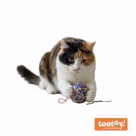 Tootoy! Chase & Play Bola de l&atilde; para gatos
