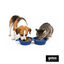 Gotoo Comedouro Port&aacute;til Duplo em Silicone Azul para c&atilde;es e gatos, , large Indicador imagem n&uacute;mero 7