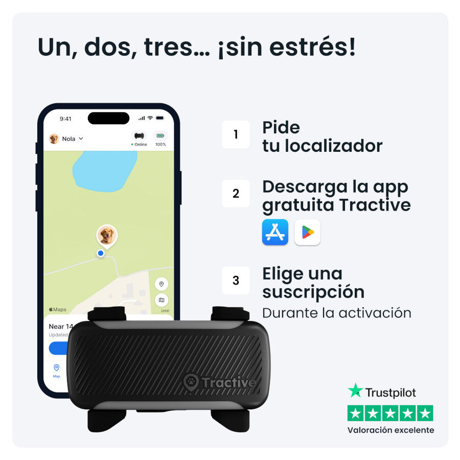 Tractive DOG 6 XL Preto GPS para c&atilde;es, , large Imagem n&uacute;mero 9
