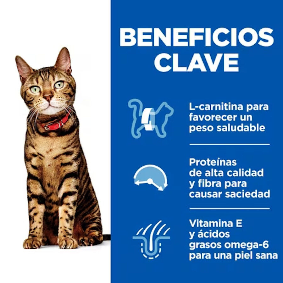 48 saquetas x 85 g Hill's Science Plan Light Adult Blue Fish and Chicken in Sauce sach&ecirc; para gatos Pack poupan&ccedil;a!, , large Imagem n&uacute;mero 2