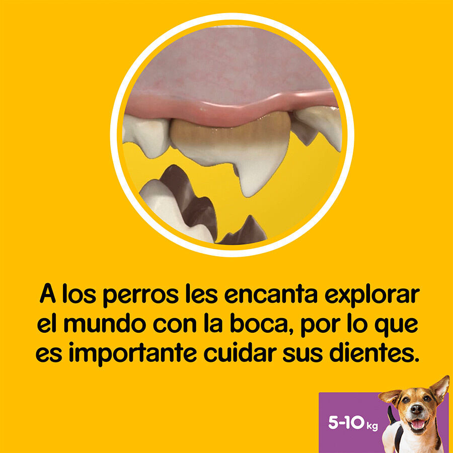 56 sticks Pedigree Dentastix Snacks Dent&aacute;rios para c&atilde;es de porte pequeno, , large Imagem n&uacute;mero 6