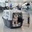 Outech IATA Apolo Transportadora para c&atilde;es e gatos, , large Indicador imagem n&uacute;mero 1