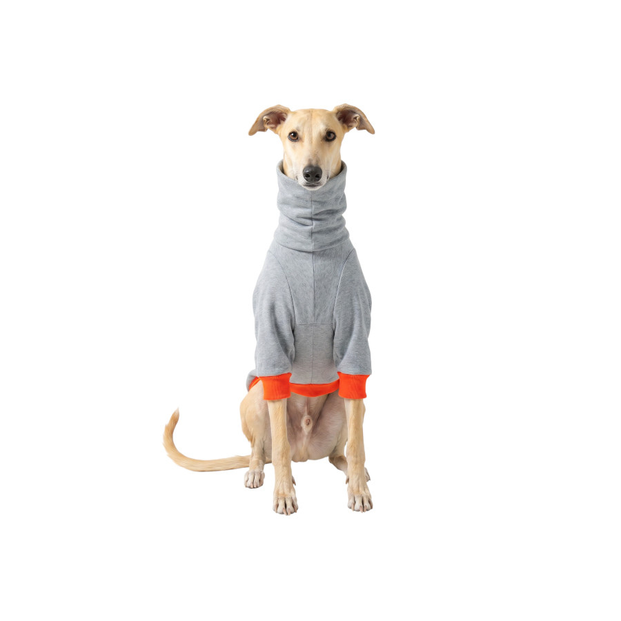 Gotoo Camisola Cinzenta para galgos, , large Imagem n&uacute;mero 7