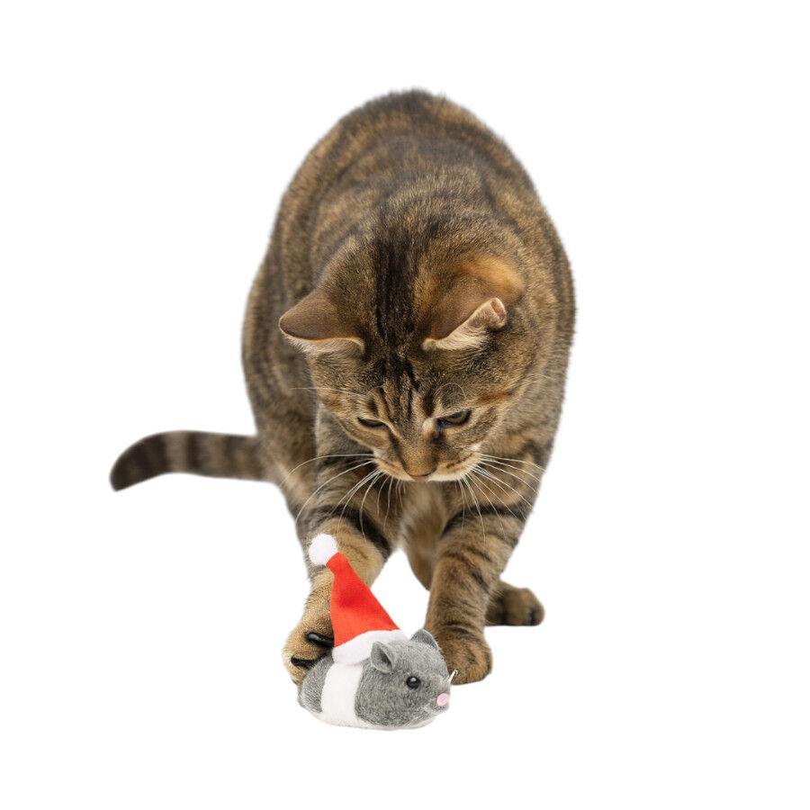Wonder Christmas Rato Pai Natal brinquedo para gatos, , large Imagem n&uacute;mero 1