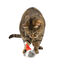Wonder Christmas Rato Pai Natal brinquedo para gatos, , large Indicador imagem número 1