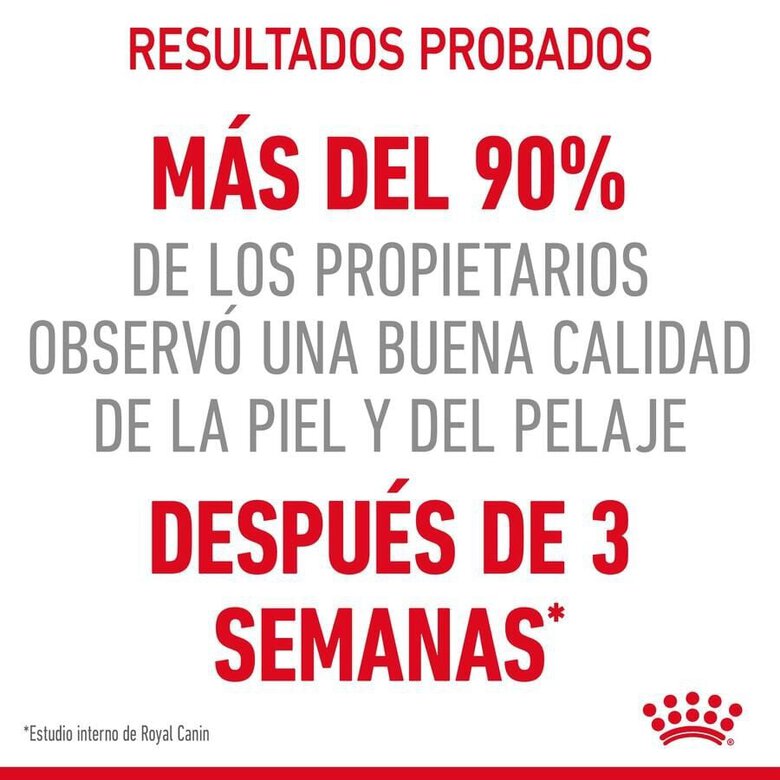 85 g Royal Canin Intense Beauty Saquetas em Gelatina para gatos,  Imagem número 4 85 g Royal Canin Intense Beauty Saquetas em Gelatina para gatos, , large Imagem número 4