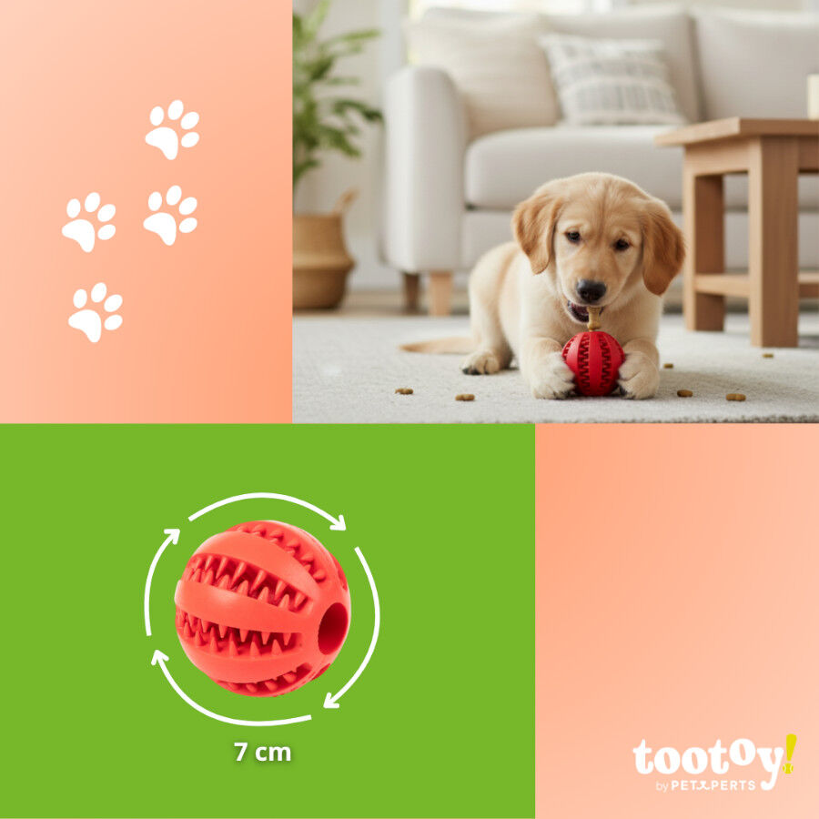 Tootoy! Chew Brinquedo interativo dispensador de snacks para c&atilde;es, , large Imagem n&uacute;mero 4