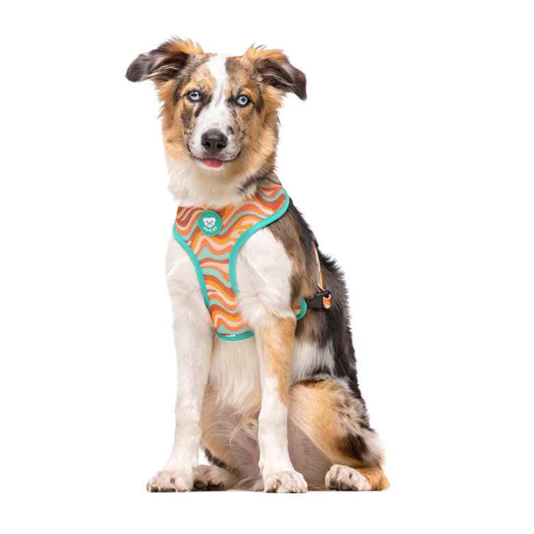 Dukier Peace Peitoral reversível para cães,  Imagem número 2 Dukier Peace Peitoral reversível para cães, , large Imagem número 2