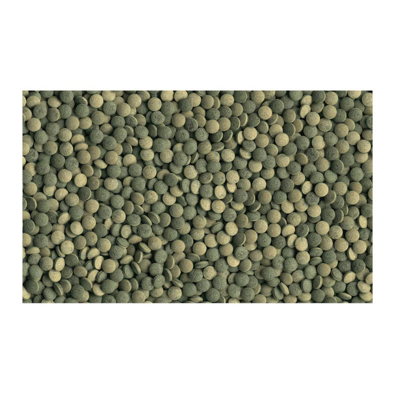 Tetra Pleco Comprimidos,  Imagem número 2 Tetra Pleco Comprimidos, , large Imagem número 2