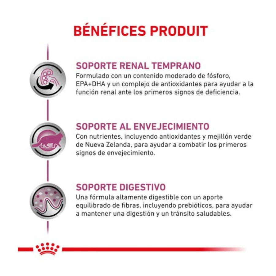 6 kg Royal Canin Early Renal ra&ccedil;&atilde;o para gatos, , large Imagem n&uacute;mero 6