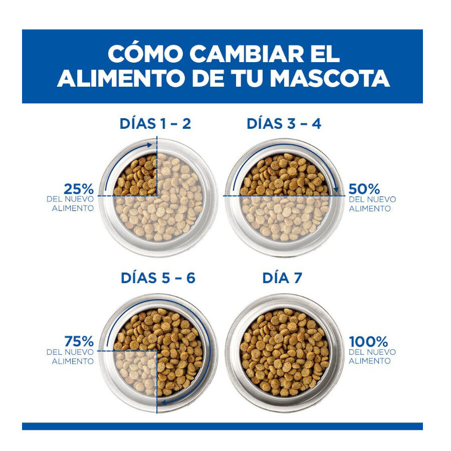 1.5 kg Hill's Science Plan Adult Ra&ccedil;&atilde;o de salm&atilde;o para gatos, , large Imagem n&uacute;mero 12