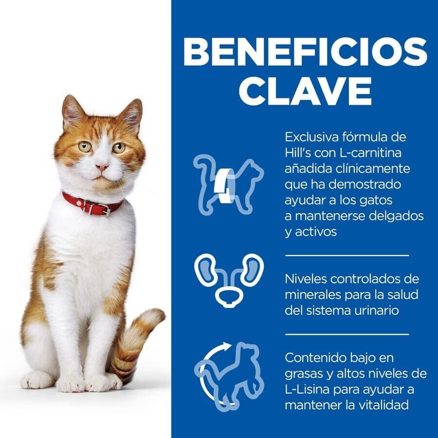 85 g Hill's Young Adult Science Plan Sterilized Frango saqueta para gatos, , large Imagem n&uacute;mero 3