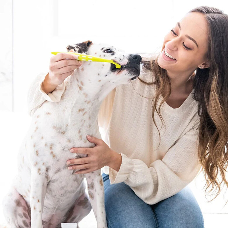 Petosan Kit dentário grande para cães e gatos,  Imagem número 5 Petosan Kit dentário grande para cães e gatos, , large Imagem número 5