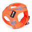 Gloria Ar Air Mesh Trek Star Peitoral/Vestuário laranja para cães, , large Indicador imagem número 1