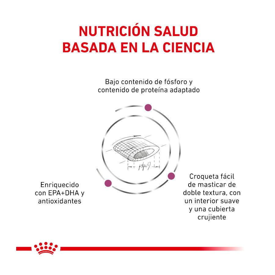 4 kg Royal Canin Veterinary Renal Select ra&ccedil;&atilde;o para gatos , , large Imagem n&uacute;mero 4