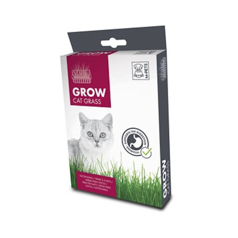 70 g M-Pets Erva Grow com Vitaminas para gatos,  Imagem número 1 70 g M-Pets Erva Grow com Vitaminas para gatos, , large Imagem número 1