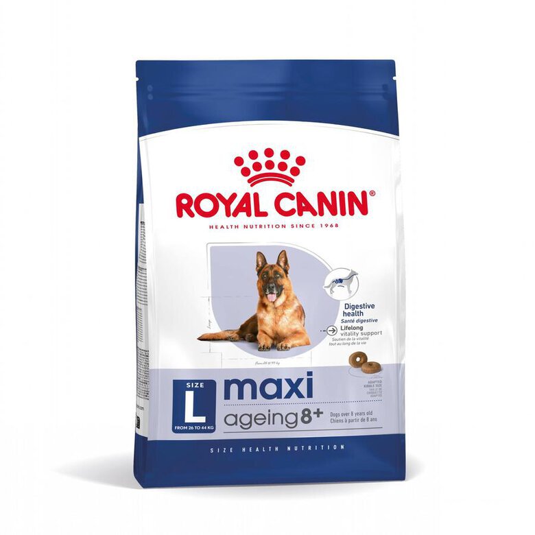 15 kg Royal Canin Maxi Ageing 8+ ração para cães,  Imagem número 1 15 kg Royal Canin Maxi Ageing 8+ ração para cães, , large Imagem número 1