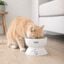 Leeby Comedouro Elevado de Cer&acirc;mica Branco para Gatos, , large Indicador imagem n&uacute;mero 1