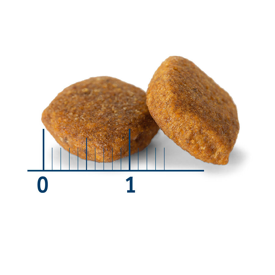 3 kg Nath Adult Medium / Maxi Sensitive Peixe Branco e Salm&atilde;o ra&ccedil;&atilde;o para c&atilde;es, , large Imagem n&uacute;mero 3