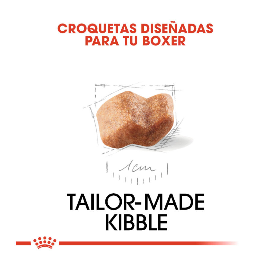 Royal Canin Puppy Boxer ra&ccedil;&atilde;o para c&atilde;es, , large Imagem n&uacute;mero 5