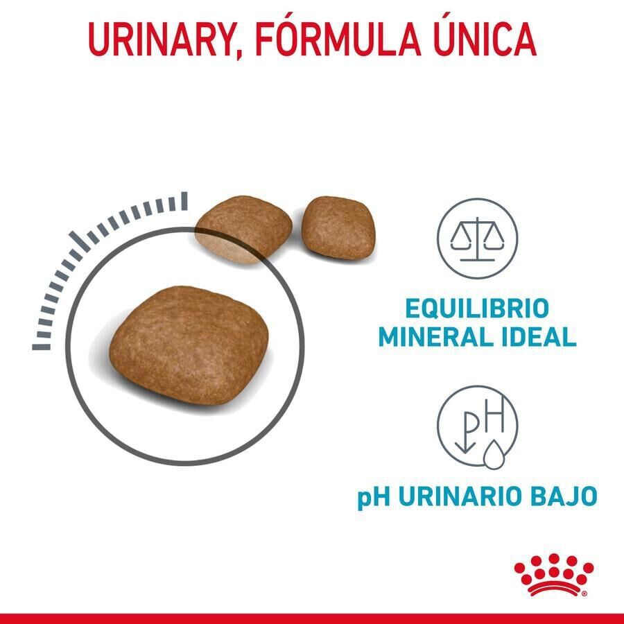 10 kg Royal Canin Urinary ra&ccedil;&atilde;o para gatos, , large Imagem n&uacute;mero 7