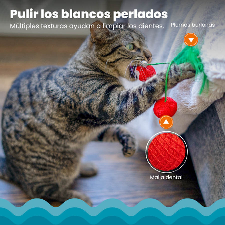 Catstages Dental Cherries Cerejas de Peluche macias para gatos, , large Imagem n&uacute;mero 5