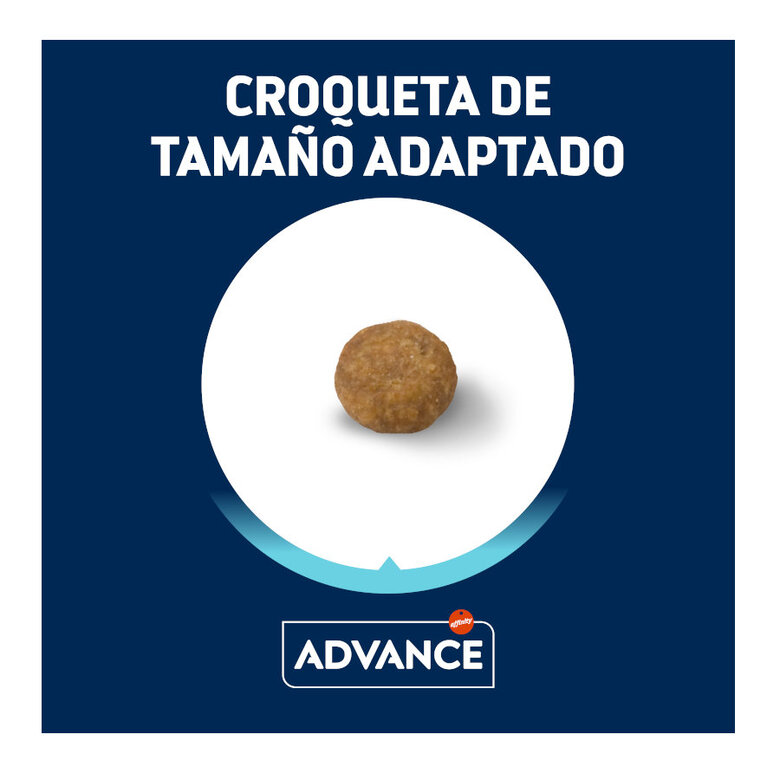 Advance Active Defense Mini Puppy Frango ração para cães,  Imagem número 2 Advance Active Defense Mini Puppy Frango ração para cães, , large Imagem número 2