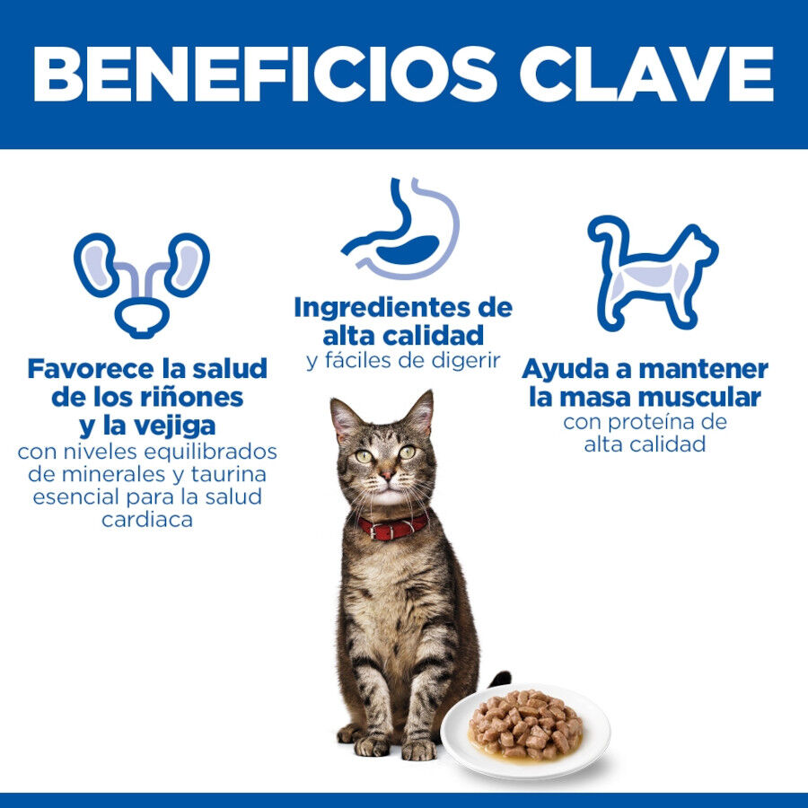 85 g Hill's Adult Science Plan Peru saqueta para gatos, , large Imagem n&uacute;mero 5