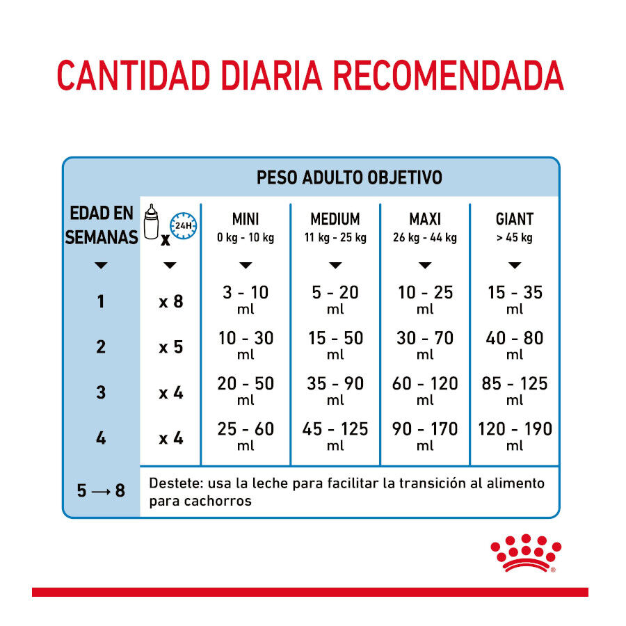 400 g Royal Canin Leite para o primeiro ano de cachorros, , large Imagem n&uacute;mero 8