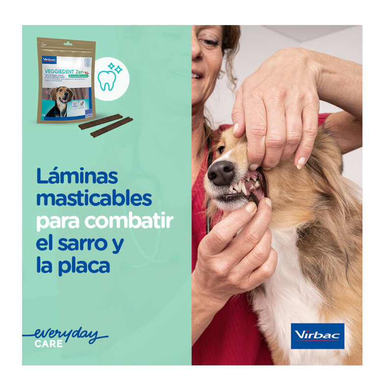15 sticks Virbac Láminas Veggiedent Zen S para cães,  Imagem número 4 15 sticks Virbac Láminas Veggiedent Zen S para cães, , large Imagem número 4