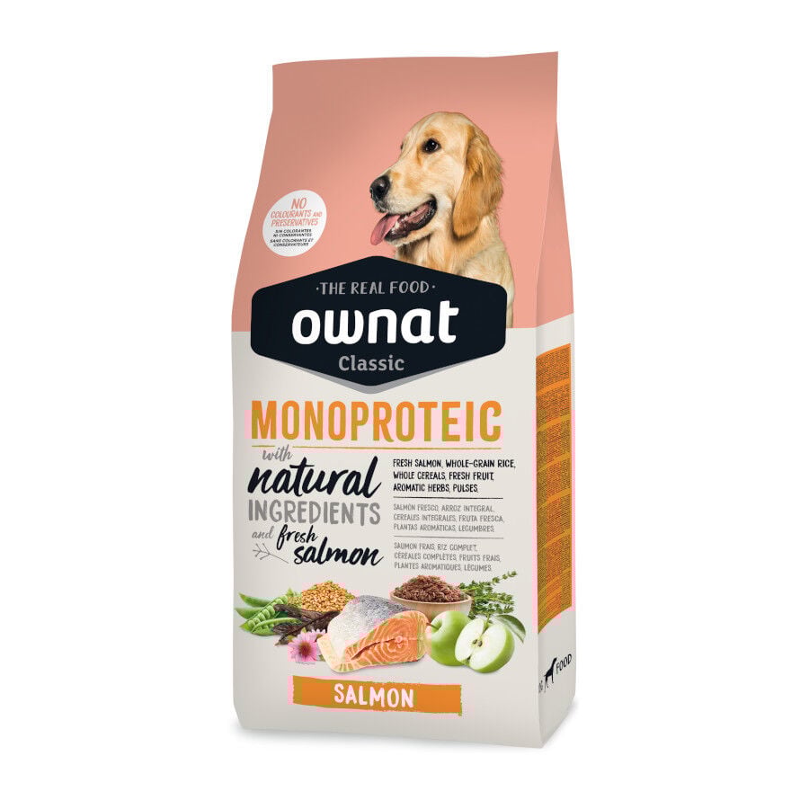 Ownat Classic Monoproteico Ra&ccedil;&atilde;o de salm&atilde;o para c&atilde;es, , large Imagem n&uacute;mero 1