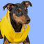Outech Fisher Capa de chuva amarela para cães, , large Indicador imagem número 2