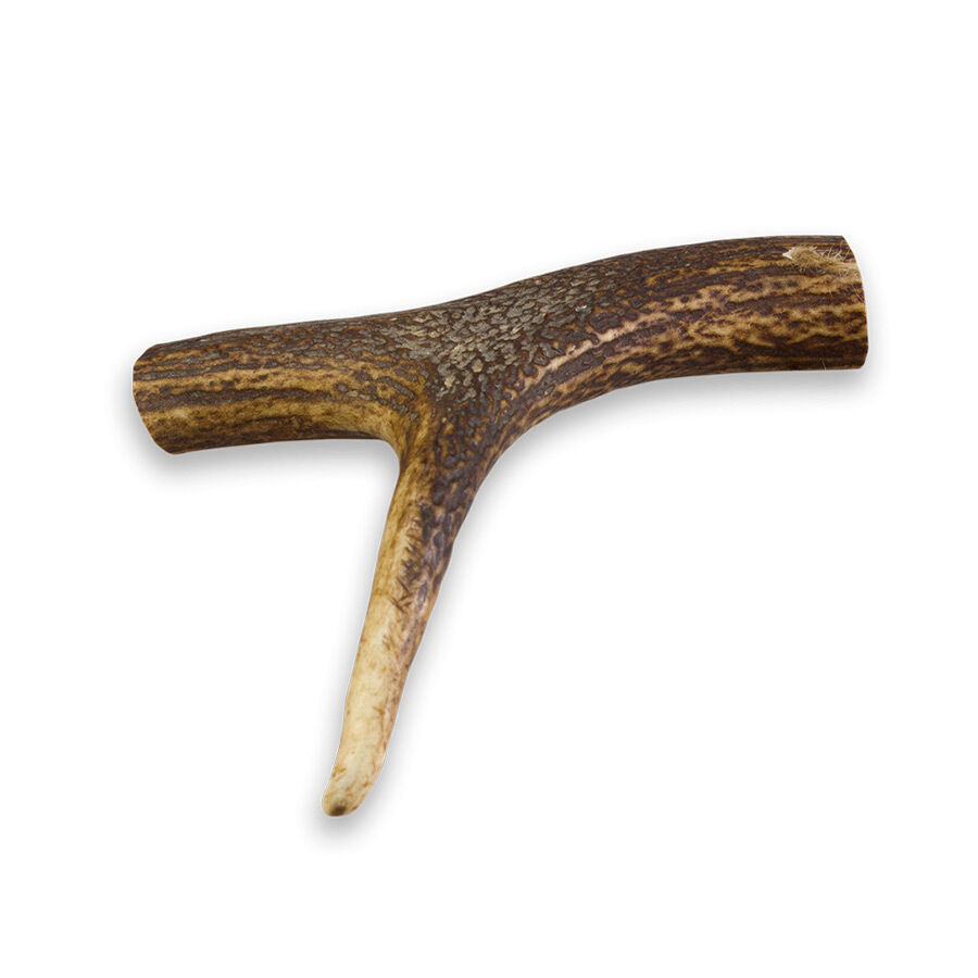 M True Origins Wild Chifre de Veado para c&atilde;es, , large Imagem n&uacute;mero 1