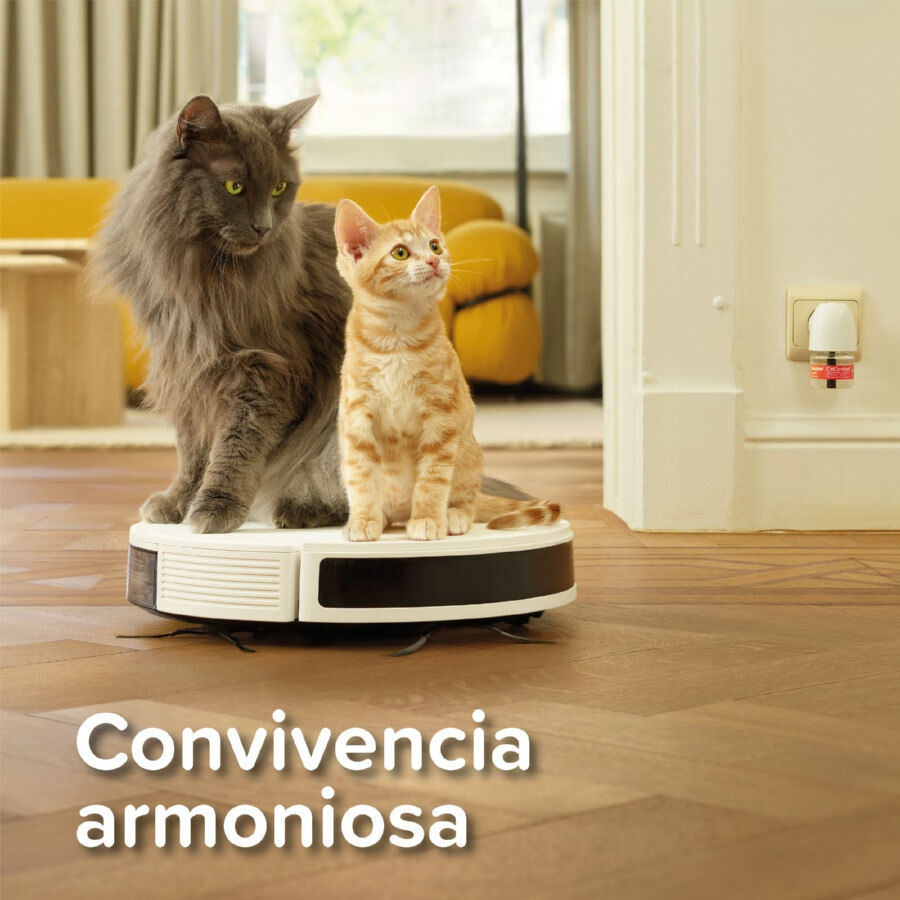 Beaphar CatComfort Excellence Difusor de Feromonas para gatos, , large Imagem n&uacute;mero 6