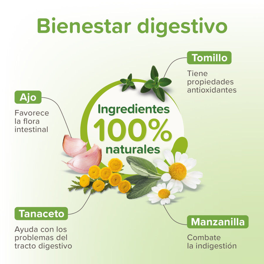 Beaphar Vermi Pure desparasitante l&iacute;quido para gatos, , large Imagem n&uacute;mero 3