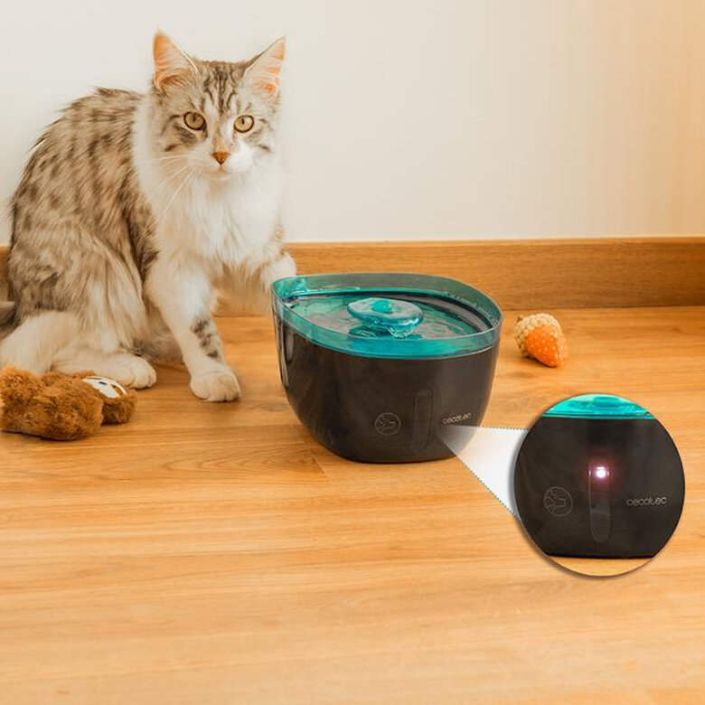 Cecotec Pumba 2200 Refresh Bebedouro Automático para cães e gatos,  Imagem número 9 Cecotec Pumba 2200 Refresh Bebedouro Automático para cães e gatos, , large Imagem número 9