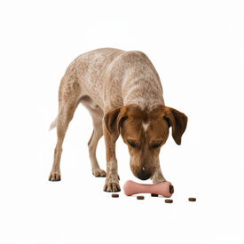 BECO Mordedor osso para c&atilde;es