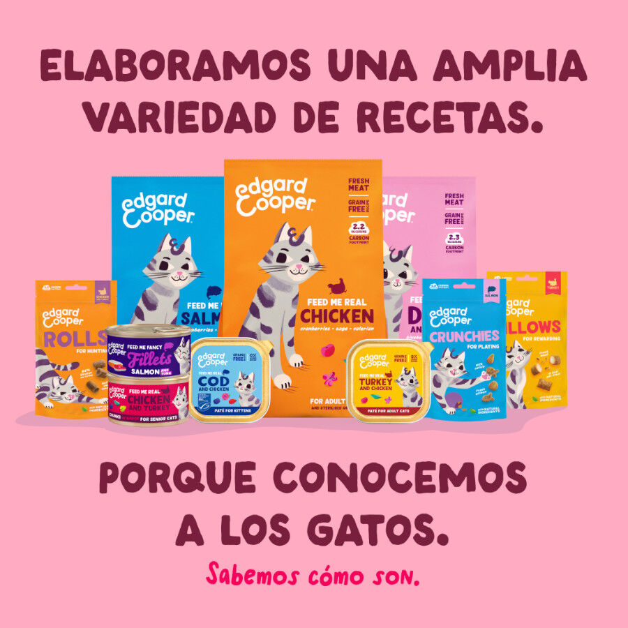 70 g Edgard & Cooper Filetes de Pollo y Gambas Lata para gatos, , large Imagem n&uacute;mero 8