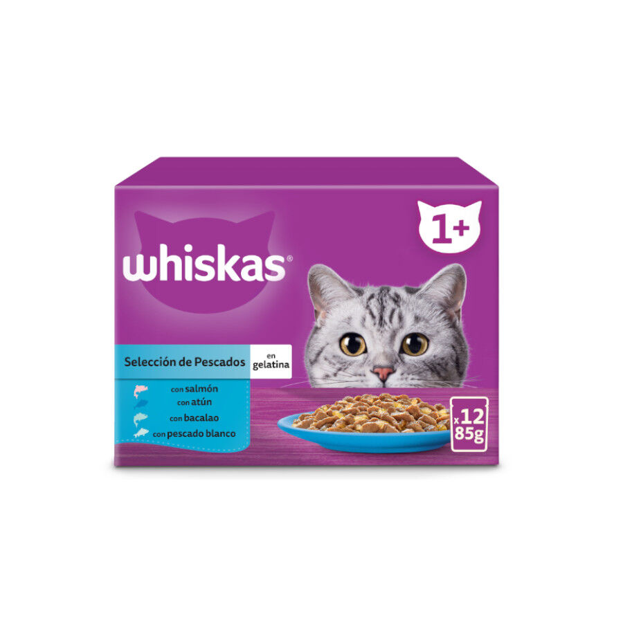12 saquetas x 85 g Whiskas Sele&ccedil;&atilde;o Peixes Gelatina em Sache para Gatos Adultos, , large Imagem n&uacute;mero 1