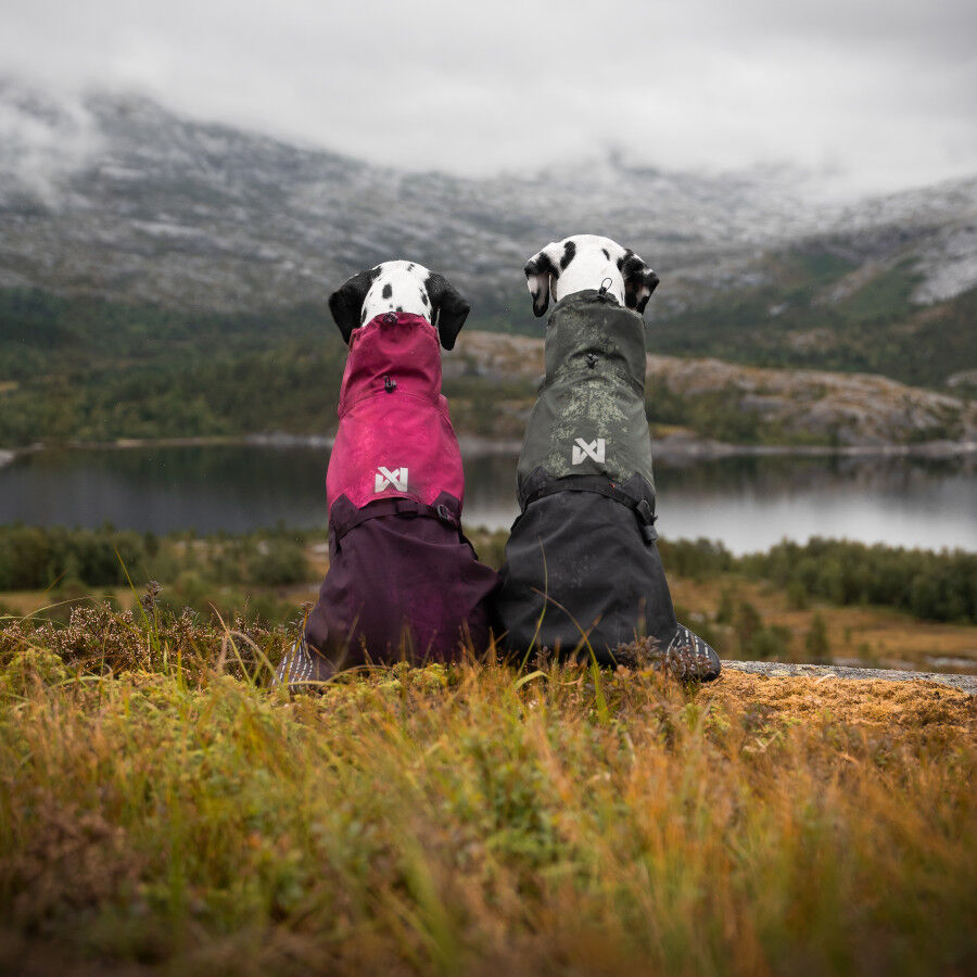 Non-stop dogwear Fjord Capa de chuva imperme&aacute;vel preto e verde para c&atilde;es, , large Imagem n&uacute;mero 8