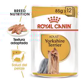 Royal Canin Yorkshire Terrier saquetas para cães 