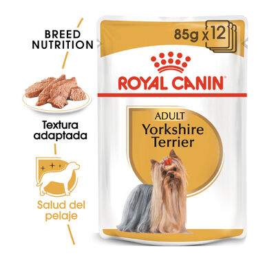 Royal Canin Yorkshire Terrier saquetas para cães 