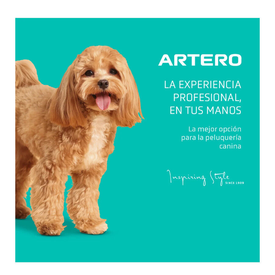Artero Exo Secador cinzento para c&atilde;es e gatos, , large Imagem n&uacute;mero 5