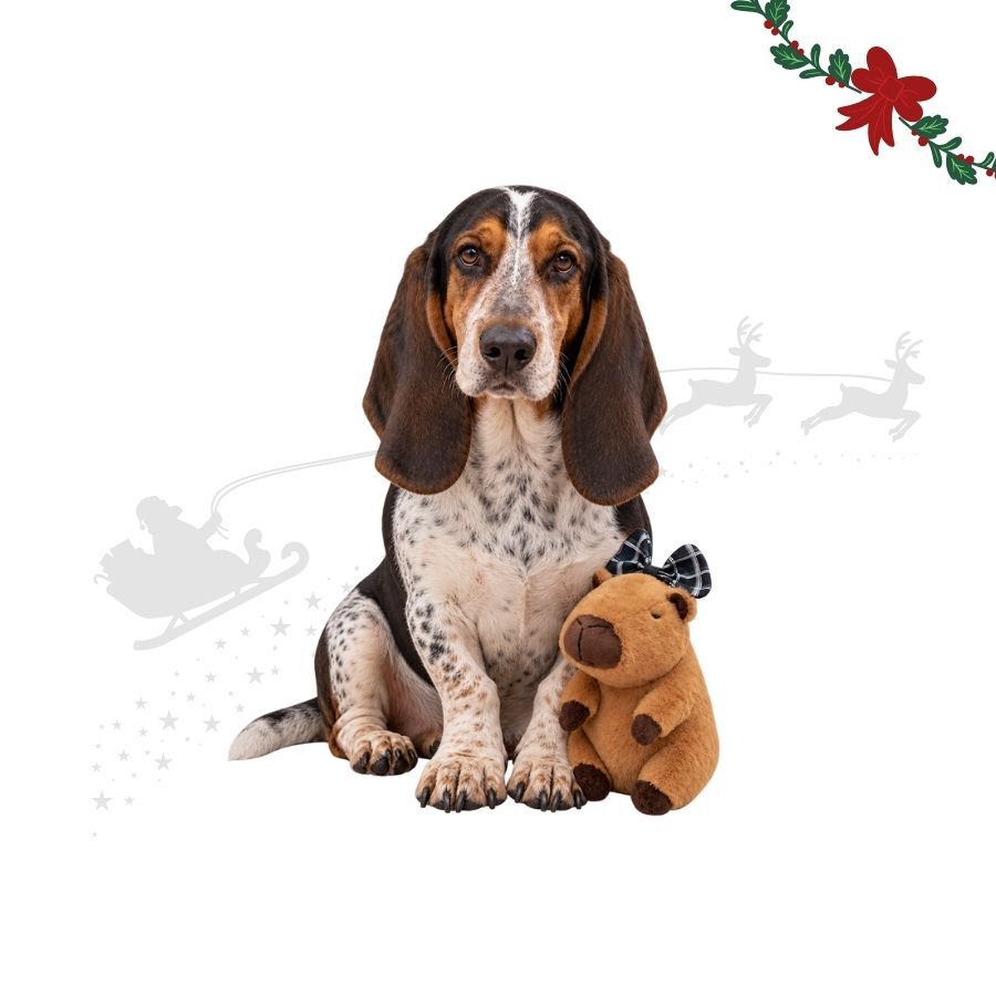Wonder Christmas capivara Peluche para c&atilde;es, , large Imagem n&uacute;mero 1
