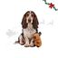 Wonder Christmas capivara Peluche para c&atilde;es, , large Indicador imagem n&uacute;mero 1