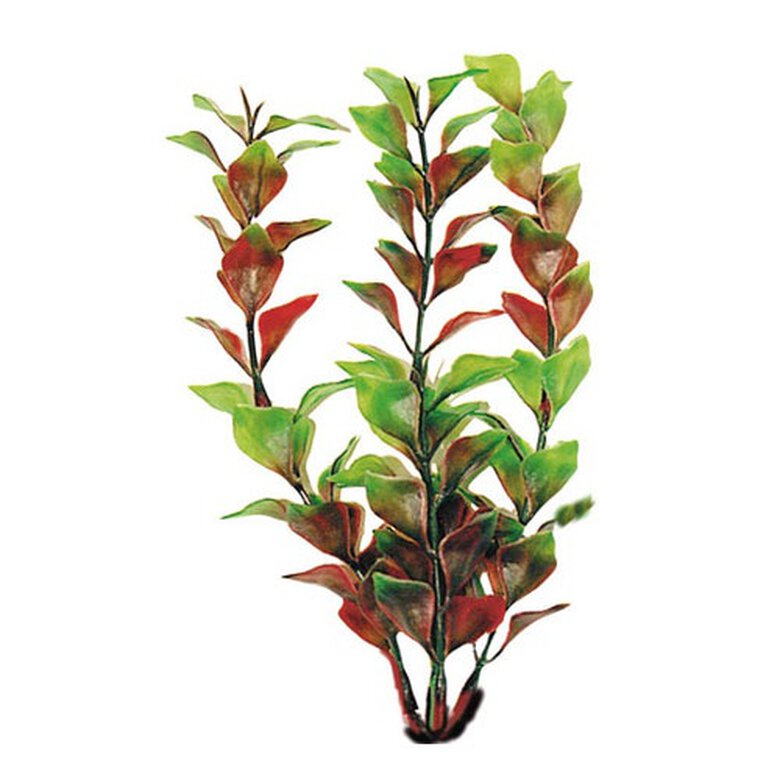 accesorios_peces_Croci_Ludwigia_planta_artificial_para_acuario_NAY8011924_M Imagem número 1 Croci Ludwigia planta artificial para acuario Imagem número 1