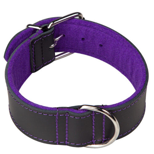 Arppe Superfelt Choppers collar para perros Imagem n&uacute;mero 1