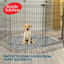 Simple Solution Tapetes laváveis para cães – Pack 2, , large Indicador imagem número 4